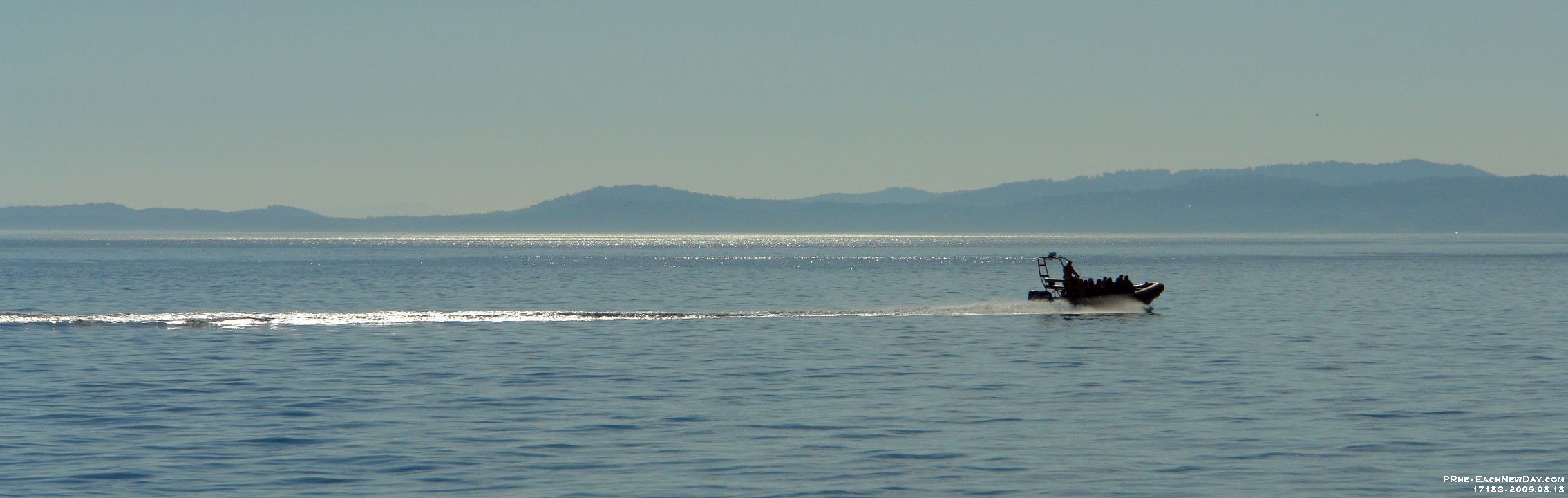 17183CrLe - Whale watching, Victoria